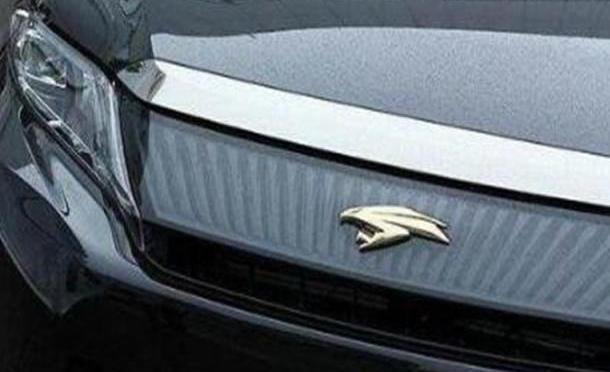 看看下面這些車標，如果不告訴你，你能認出這是豐田嗎？