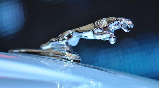 勞斯萊斯車標(biāo)40萬？有些車標(biāo)更是已經(jīng)訂不到貨