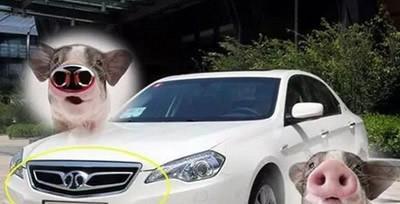 網(wǎng)友吐槽較多的5個(gè)車標(biāo)，第3個(gè)被吐槽也不影響銷量