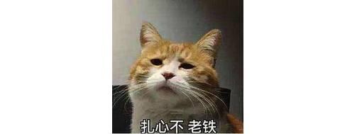 買輛眾泰SR9把車標改成保時捷，算不算犯法？