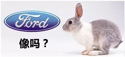 車標上缺了點東西，是不是買到假貨了？