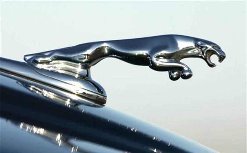 全球5大動(dòng)物車(chē)標(biāo)，前2個(gè)旗鼓相當(dāng)，誰(shuí)是真正的&ldquo;叢林之王&rdquo;？