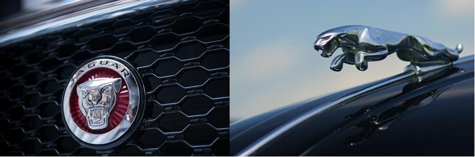 這2款車前后車標都不一樣 為什么行駛在路上交警都不查