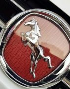 車標帶馬一定會火？有的地位