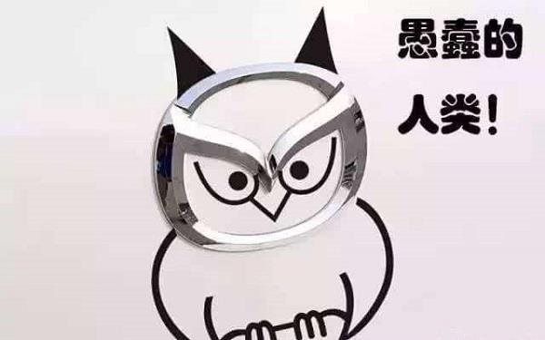 車標(biāo)太無聊？只要不怕被罰的可以考慮這么干！