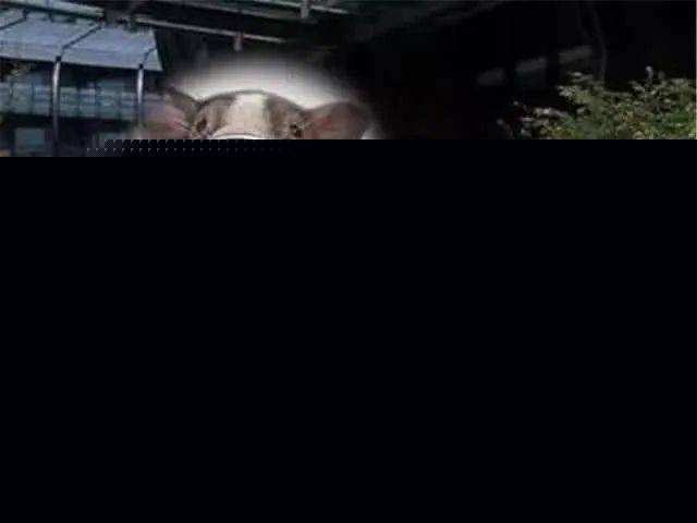 全球&ldquo;較丑&rdquo;四大車標(biāo)，雪佛蘭像&ldquo;女性用品&rdquo;，網(wǎng)友都看笑了