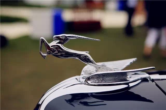 全球較罕見的汽車標志，見過一個算你牛！