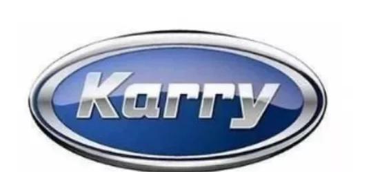 這幾個較為山寨的汽車標志，你見過嗎？眾泰看了都表示模仿不來