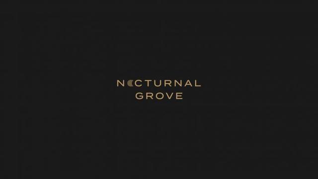 40款品牌LOGO設計集錦