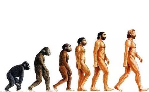 標致也換LOGO了？看著真&ldquo;標致&rdquo;！