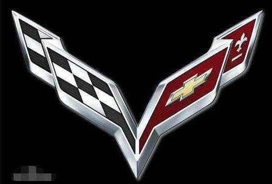 這輛車的車標，看起來還是挺酷的，不過。。。