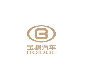 這臺純電動汽車LOGO里帶B，但并不是比亞迪，很多人都不認識
