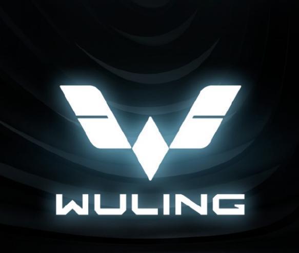 你的神車LOGO換色了！上路別認錯了，五菱全新銀標亮相