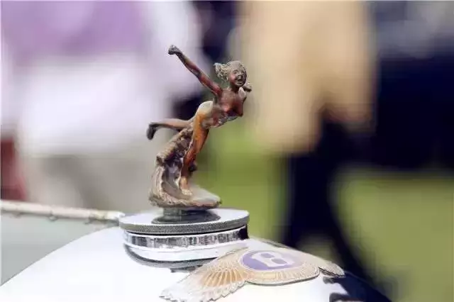 全球較罕見的汽車標(biāo)志，見過一個算你牛！