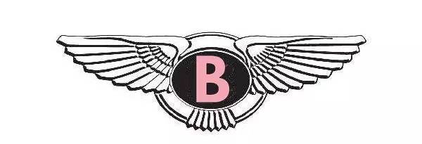 聽說這些汽車標志，只有老司機才認識