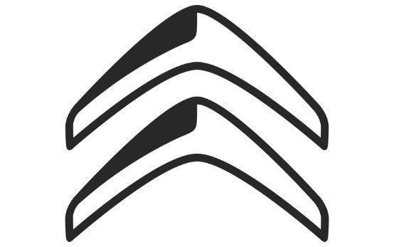 一次看個夠！這些車標背后的含義