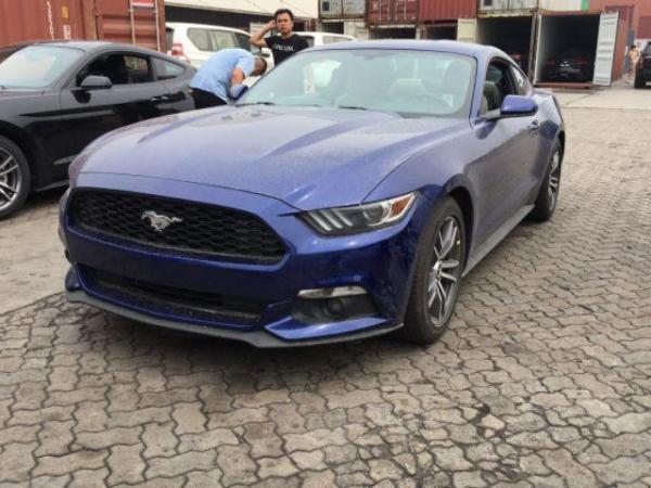 用馬做車標的四種車：較后一個和前面三個差距不是一般的大