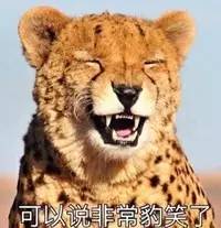 10萬的車偷偷改成100萬的車標我能理解，但上千萬的跑車硬是改成山寨車標到底是圖個啥？