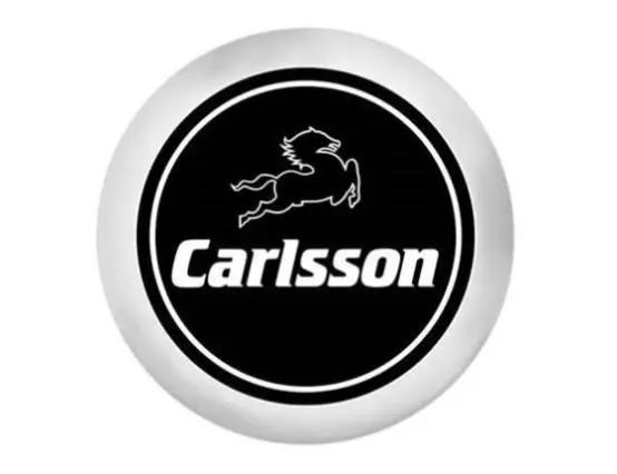 世界五大駿馬元素車標含義解讀：有一款國產車上榜！