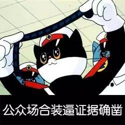 10萬的車偷偷改成100萬的車標我能理解，但200萬的跑車硬是改成山寨車標到底是圖個啥？