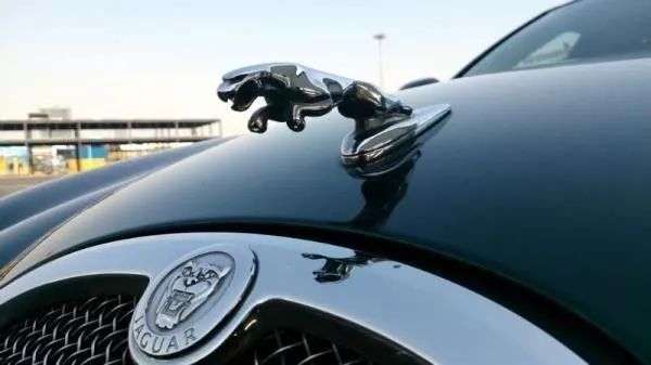 這些立體車標，見過3個以上你就是絕對的壕！