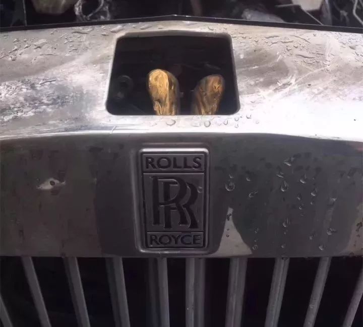 這些立體車標，見過3個以上你就是絕對的壕！