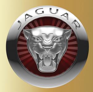 這些車標 你知道幾個？