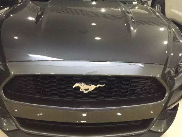 這四個車都用&ldquo;馬&rdquo;做車標，差距咋這么大呢！