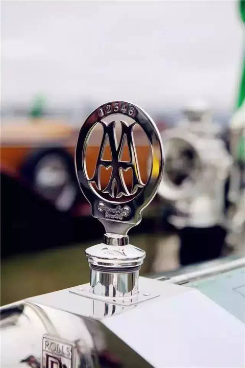 這些立體車標，見過3個以上就很了不起！