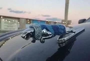 你見過哪些搞笑的車標改裝？網友：較服那個穿著衣服的車標！