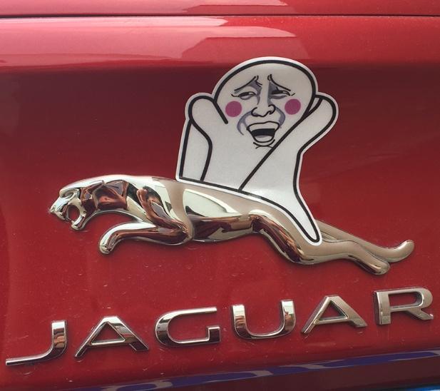 被國人&ldquo;玩壞&rdquo;的車標