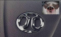 國內最丑的車標，設計師真的