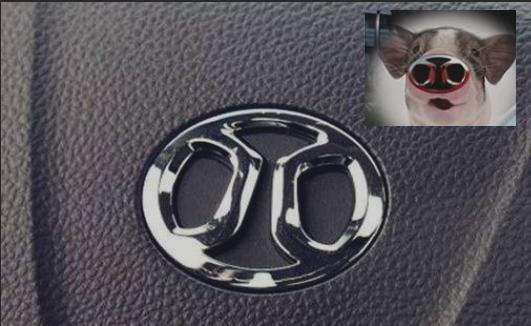 國內(nèi)較丑的車標(biāo)，設(shè)計(jì)師真的很有"才"