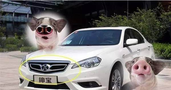 外媒評出的全球十大較丑車標，國產品牌近半數，嚇哭小朋友