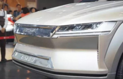 比亞迪多次換車標，這次的最