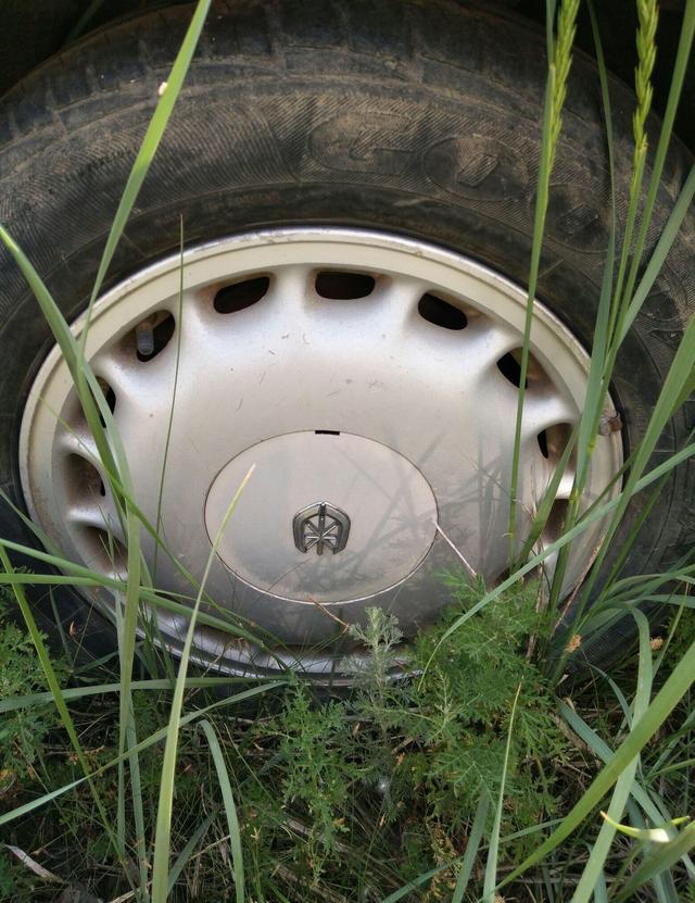 草叢里的一輛廢棄豪車無人認領(lǐng)，認識這個車標的都是有故事的人