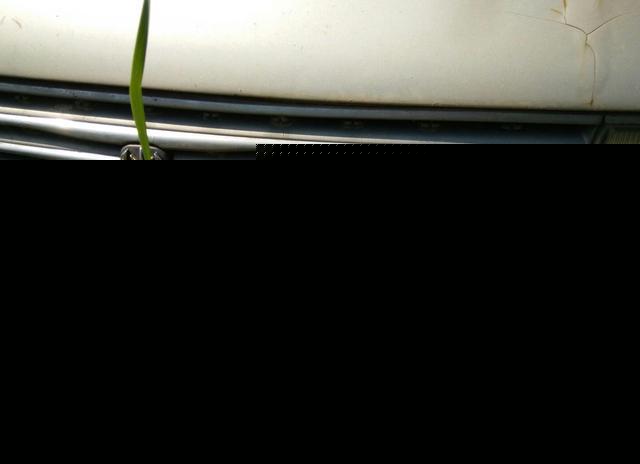 草叢里的一輛廢棄豪車無人認領(lǐng)，認識這個車標的都是有故事的人