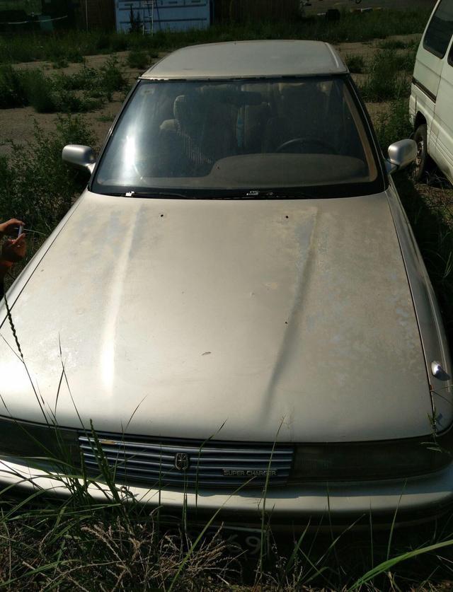 草叢里的一輛廢棄豪車無人認領(lǐng)，認識這個車標的都是有故事的人