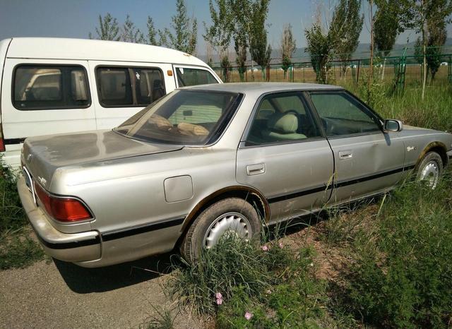 草叢里的一輛廢棄豪車無人認領(lǐng)，認識這個車標的都是有故事的人