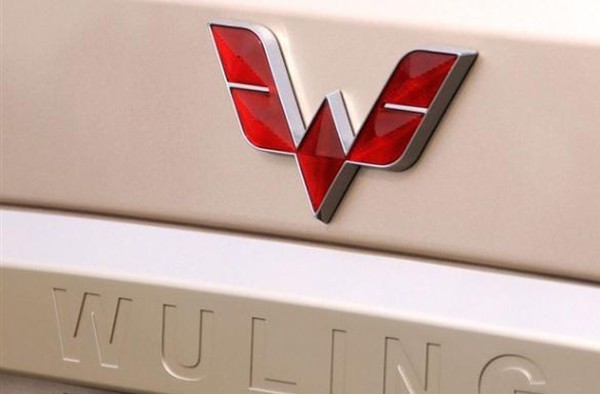 六大較有范的國產(chǎn)車標(biāo)，較后一個(gè)你絕對想不到！