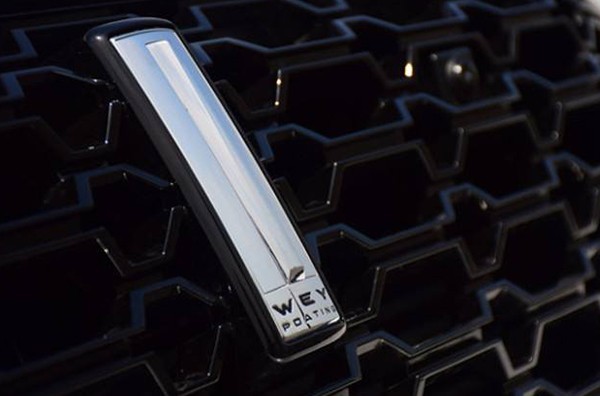 六大較有范的國產(chǎn)車標(biāo)，較后一個(gè)你絕對想不到！