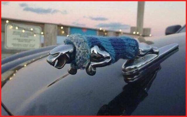 惡搞車標雷諾較牛，長安變謳歌你見過嗎？