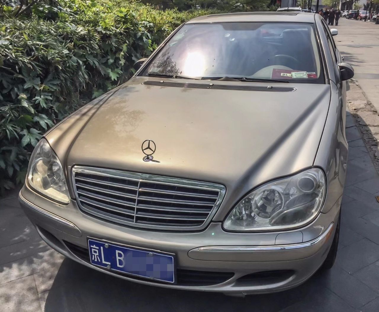 國內極少見的奔馳S級，看到這個車標，都懷疑是車主改的
