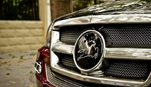 因車標太丑，被人當(dāng)成了模仿奔馳的山寨車，殊不知比奔馳還貴！