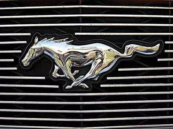 14個車標都是動物, 80%以上人養不起! 90%以上人買不起!