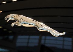 以&ldquo;動(dòng)物&rdquo;作為車標(biāo)的9大汽車品牌，認(rèn)識(shí)一半的就是老司機(jī)！