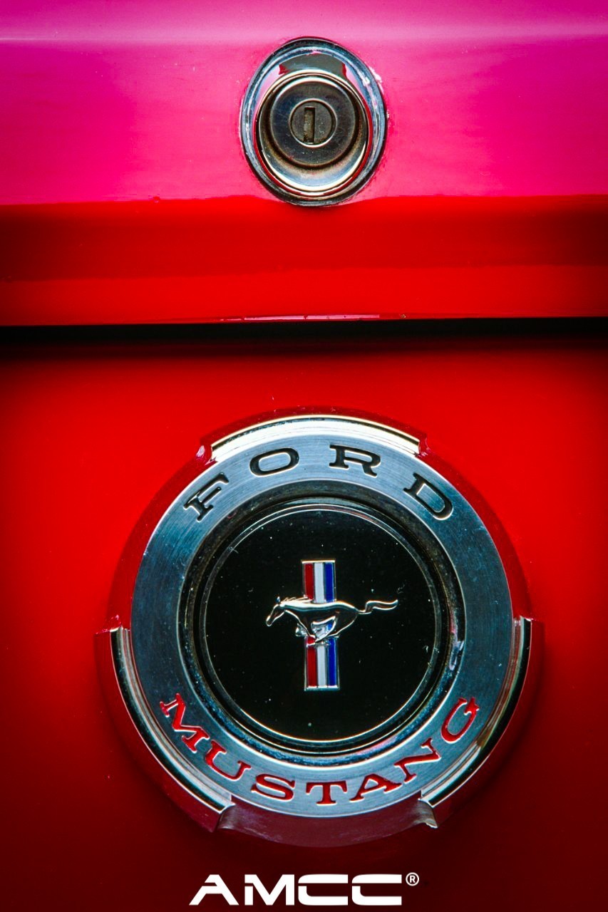 原來這匹馬的來歷真不簡單！福特野馬車標的浩瀚演變史