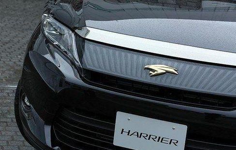 豐田全新漢蘭達(dá)來(lái)了！換上新車(chē)標(biāo)僅14萬(wàn)起，網(wǎng)友：太霸氣了