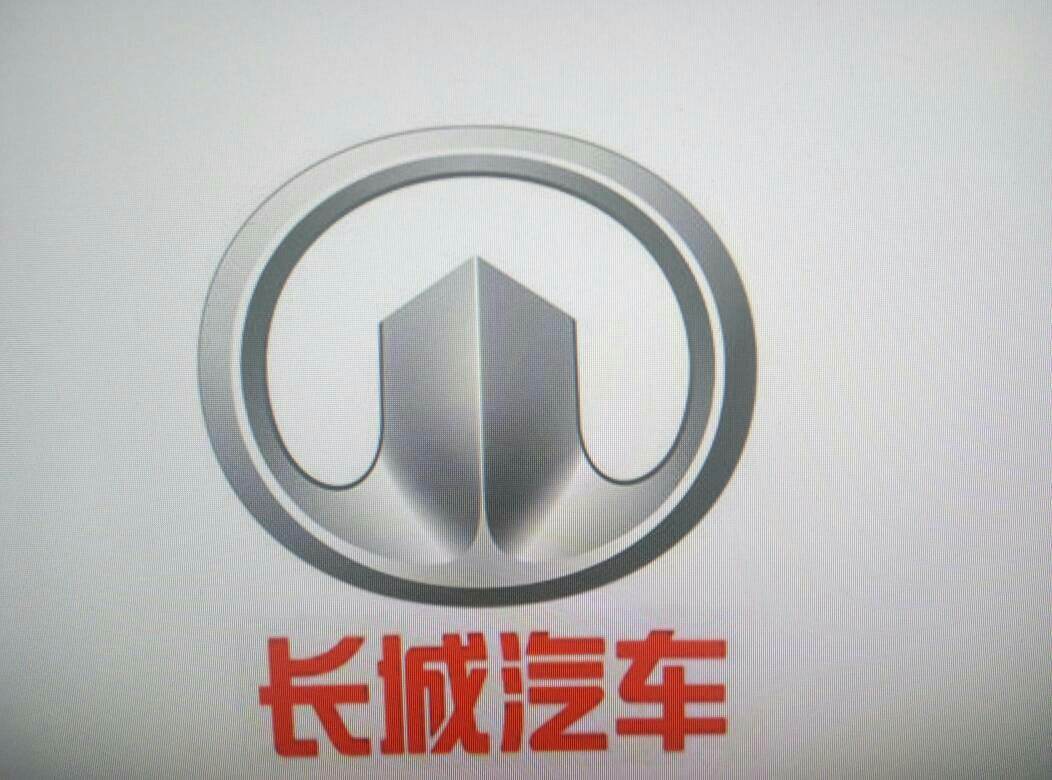 四塊國產車標，前三不輸合資車，較后一個很特別