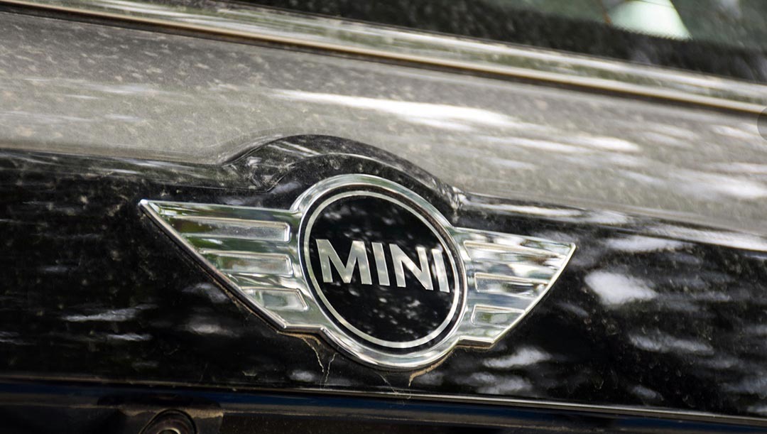 不怕大眾帶字母，就怕車標(biāo)帶翅膀！看到它們還是躲遠點